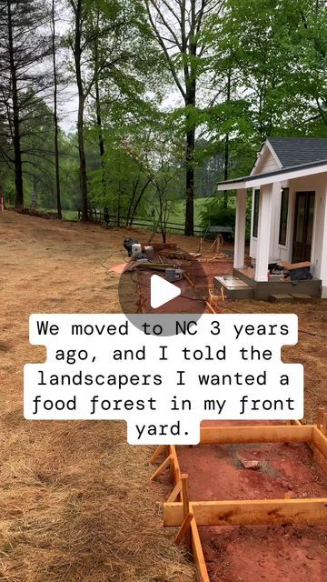 Homestead Life | Farming on Instagram: "I have over 40+ medicinal and edible plant varieties in my tiny front yard.
(Via "go_slowandsteady)

I’m so glad I didn’t listen…

For those of you wondering if there’s a better way, believe me there is. Not only does my Food Forest feed my family but it also feeds birds, deer, pollinators, soil microorganism, friends, family, and the list goes on and on…

Wouldn’t it be great if your front yard actually worked for you? What if you could transform your patch of grass into something that could feed your family for generations with VERY little input?

This is what leaving a legacy means to me.

.
.
.
The copyright of this post doesn’t belong to @homesteadlife.real, nor do we intend to monetize this content. DM us for Removal.

#homestead #homesteadlife Tiny Front Yard, Soil Microorganisms, Plant Varieties, Dream Yard, Leaving A Legacy, Food Forest, Garden Containers, Food Garden, My Food