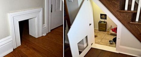 Cat Rooms Indoor Under Stairs, Under Stair Cat House, Cat Door Under Stairs, Understairs Cat Area, Understairs Cat House, Litter Box Room Under Stairs, Cat Litter Box Ideas Hidden Under Stairs, Cat Litter Box Under Stairs, Under Stair Cat Litter