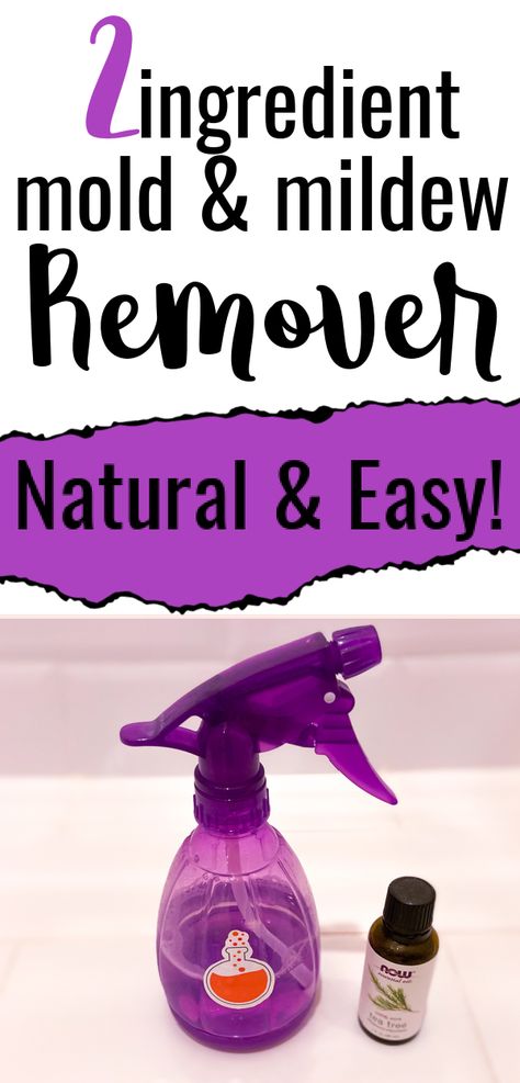 Instead of vinegar or hydrogen peroxide to remove mold or mildew in your bathroom, try this natural and easy DIY spray. You can use this on caulk or grout too. This homemade household tip will be your new favorite hack! Diy Black Mold Remover, Mold Killer Diy, Mold And Mildew Remover Diy, How To Remove Mildew From Fabric, How To Get Rid Of Mold In Bathroom, Mold Remover Bathroom, Mildew Remover For Fabric, Cleaning Shower Mold, Remove Mold From Walls