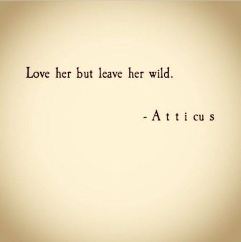 Love her but leave her wild. Atticus Tattoo, Favorite Sayings, Atticus, Visual Statements, Sweet Stuff, Pretty Words, Travel Quotes, The Words, Great Quotes