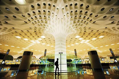 Mumbai Airport, Airport Terminal, Architecture Modern, Airports Terminal, India Culture, The Peacock, Architectural Inspiration, Culture Travel, Technology News