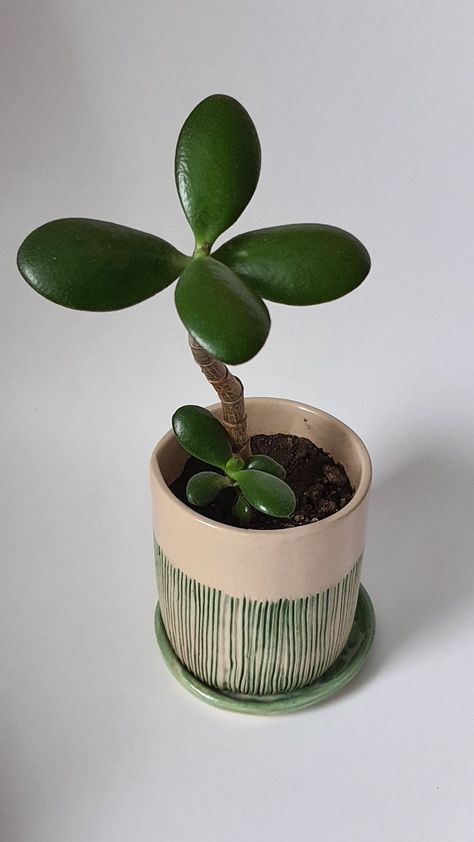 Pottery For Plants Ideas, Planters Ceramic Ideas, Clay Pottery Plant Pots, Plant Pot Clay Diy, Plant Pot Ceramic Handmade, Ceramic Art Plant Pot, Pottery Wheel Planter, Clay Pot Plant, Handmade Pottery Plant Pot