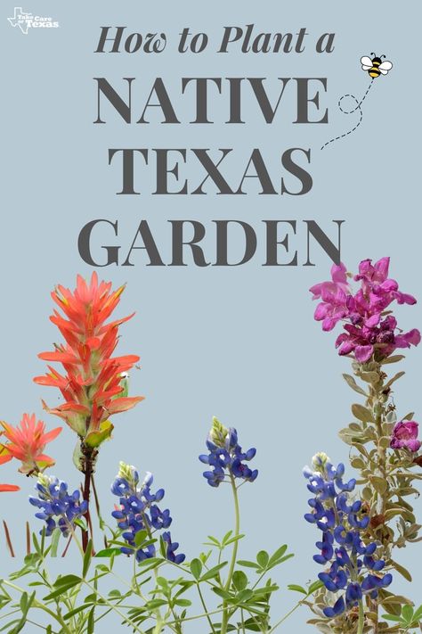 Texas Pollinator Garden Layout, Texas Hill Country Landscape Ideas, Texas Butterfly Garden Native Plants, Houston Native Plants, North Texas Front Yard Landscaping Ideas, Texas Native Landscape Design, Texas Native Shade Plants, Texas Native Flower Bed, Texas Cactus Garden