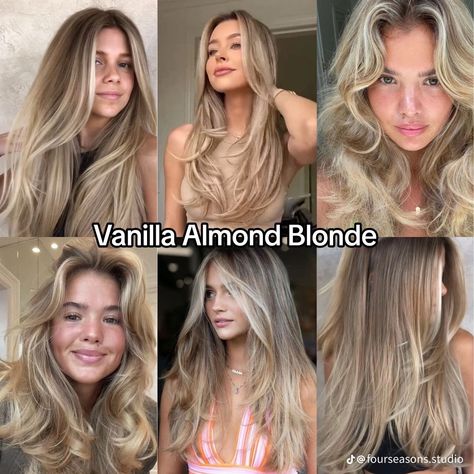 Vanilla Almond Blonde, Almond Blonde Hair, Almond Blonde, Light Brunette Hair, Perfect Blonde Hair, Summer Blonde Hair, Brunette Hair With Highlights, Dirty Blonde Hair, Hairstyles For Layered Hair