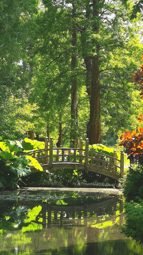 #bridge #summer #vibes #river #warmaesthetic #fairycore #forest Summer Forest, Forest Bridge, River Aesthetic Summer, Bridge In Forest, Forest River Aesthetic, Forest Village, Dark Fairycore, River Forest, Bridge Photography