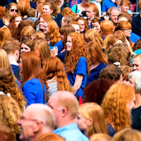 Redhead Day in Breda, The Netherlands. Oct 23rd. Redhead Day, Natural Red Hair, Face Study, Jewish Men, Celtic Woman, Green Ocean, World Population, Last Stand, Redhead Girl