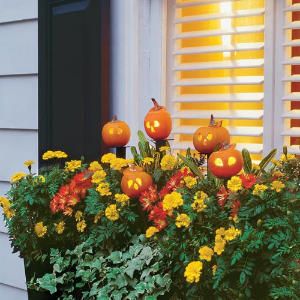 Carving these irresistible ‘Wee-B-Little’ pumpkins is a super-simple, quick, entertaining project, regardless of your age. | SouthernLiving.com Outside Fall Decorations, Fall Window Boxes, Fall Windows, Fall Planters, Halloween Window, Halloween Pumpkins Carvings, Have Inspiration, Deco Floral, Window Boxes