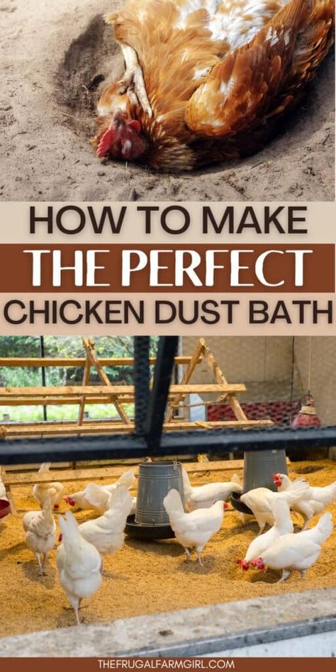 Chicken Dust Bath, Dust Bath For Chickens, Raising Meat Chickens, Costco Meals, Clean Chicken, Types Of Chickens, Dust Bath, Chicken Ideas, Raising Backyard Chickens