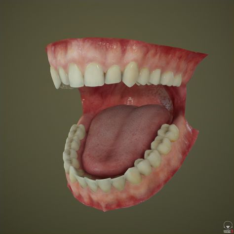 ArtStation - Real time mouth interior, Georgian Avasilcutei Gritted Teeth Reference, Fang Teeth Art Reference, Monster Teeth Reference, Teeth Gore Art, Teeth Reference, Mouth Reference, Monster Mouth Drawing Teeth, Mouth Anatomy, Homemade Mouthwash