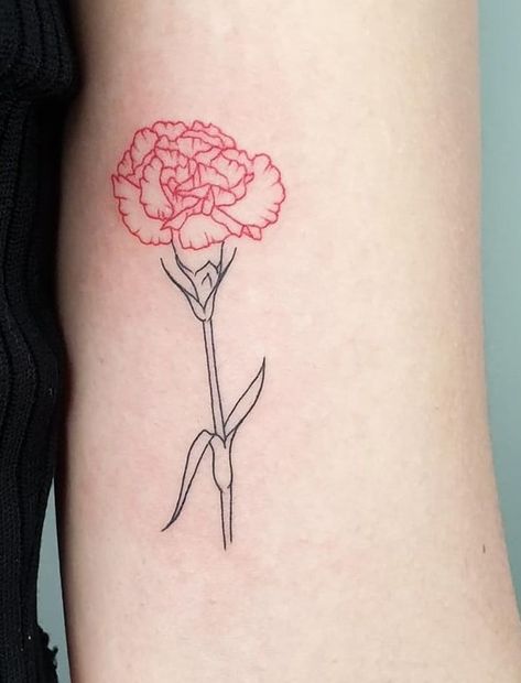 Red Geraniums Tattoo, Simple Carnation Tattoo Outline, Hadestown Flower Tattoo, White Carnation Tattoo, Carnation Tattoo Outline, Simple Carnation Tattoo, Red Carnation Tattoo, Hadestown Tattoo, Hadestown Flower