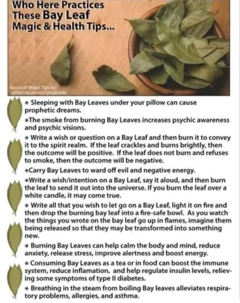 Burn Bay Leaves, Burning Bay Leaves, Smudging Prayer, Witchcraft Spells For Beginners, Witchcraft Magic, Magickal Herbs, Witch Herbs, Spells For Beginners, Magic Spell Book