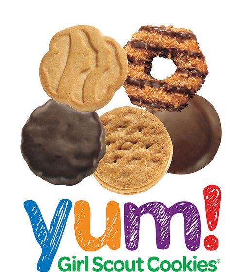 Lots of terrific ABC Bakers images, stationery, and photography to support your cookie sale Girl Scout Cookies Funny, Girl Scout Cookie Meme, Selling Girl Scout Cookies, Girl Scout Shirts, Girl Scout Mom, Scout Projects, Cookie Booth, Girl Scout Cookie Sales, Girl Scout Cookies Booth