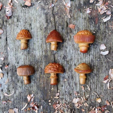 Avocado Seed Carvings. How neat are these?! What a brilliant idea! Great way to repurpose and upcycle what you have on hand! #diyproject #upcycled #repurposed #recycled #bringnatureinside #natureart #exploreoutdoors #seedcarving #carving Avocado Pit Carving, Avocado Seed Carving, Avocado Pits, Avocado Pit, Avocado Art, Seed Art, Whittling Projects, Dremel Carving, Avocado Seed