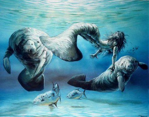 Manatee Mermaid Manatee Mermaid, Mermaid Sightings, Mako Mermaids, Mermaid Tale, Mermaids And Mermen, Mythical Creatures Art, Mermaid Art, Infamous, Creature Art