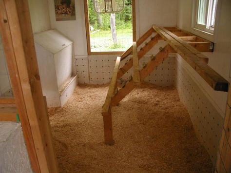 note homemade feeder holds 300# and vinyl flooring on wall for easy clean up Vinyl Flooring On Wall, Flooring On Walls, Chicken Coop Garden, Portable Chicken Coop, Chicken Pen, Best Chicken Coop, Building A Chicken Coop, Diy Chicken Coop, Chicken Diy