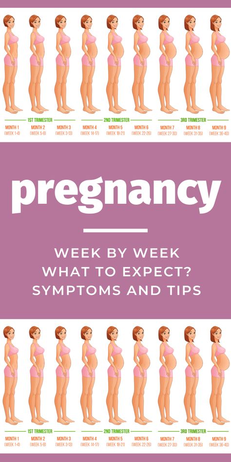 Pregnancy Symptoms Week By Week, Pregnancy 1st Trimester Tips, Pregnancy Months And Weeks, Week 3 Pregnancy Symptoms, Week 6 Of Pregnancy, Pregnant Month By Month, Week By Week Pregnancy Belly, 4 Month Pregnancy Outfits, Week 5 Pregnancy Symptoms