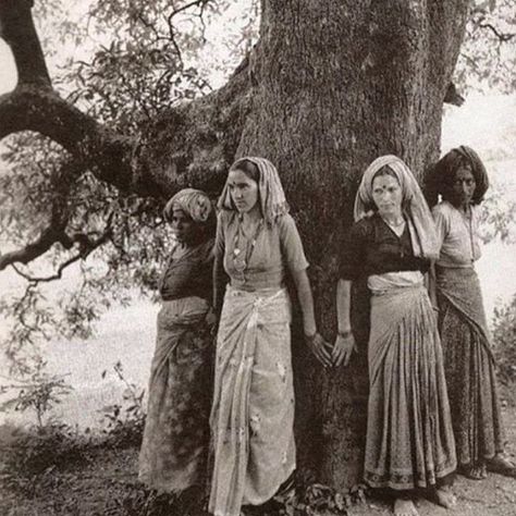 The Chipko movement or chipko andolan was primarily a forest conservation movement in India that began in 1973 and went on to become a rallying point for many future environmental movements all over the world; it created a precedent for non-violent protest started in India.It occurred at a time when there was hardly any environmental movement in the developing world, and its success meant that the world immediately took notice of this non-violent movement, which was to inspire in time many su... Chipko Movement, Women Standing, Wow Photo, Tree Hugger, Photo Vintage, Rajasthan India, Uttar Pradesh, One Tree, Vintage Photographs