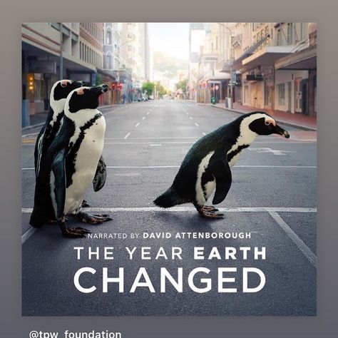 @findecogifts shared a photo on Instagram: “"The Year Earth Changed" by David Attenborough. Yes indeed, and our FINAL wake up call to Lets Save OUR planet to Lets Save ourselves. We…” • May 20, 2021 at 7:57am UTC Night On Earth Movie, Our Planet Documentary, Planet Earth Bbc, Ilford Delta 400 Film, Planet Earth Documentary, David Attenborough, Download Movies, Dc Movies, Great Films