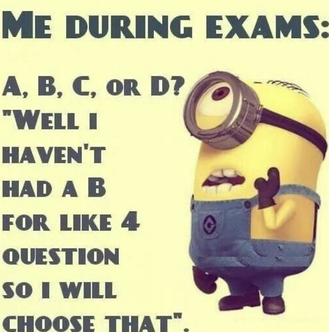 Minion Jokes Hilarious Laughing So True, Minion Jokes Hilarious Laughing, Minion Jokes Hilarious So True, Funny Minion Jokes, Minions Jokes, Funny Minions Quotes, Photography Quotes Funny, Minion Humor, Minion Meme