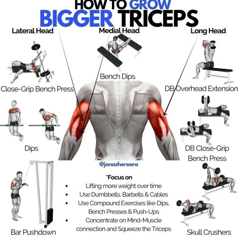 Bicep And Tricep Workout, Tricep Workout, Bicep Workout, Gym Antrenmanları, Gym Workout Chart, Gym Workouts For Men, Trening Fitness, Biceps And Triceps, Muscle Building Workouts