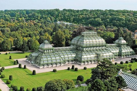 Modern Greenhouses, Green House Design, Courtyard Pool, Schönbrunn Palace, Palm House, Glass Building, Wooden Greenhouses, Glass Structure, Garden Greenhouse