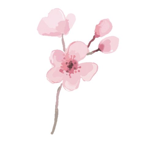 Aesthetic Gif Icons Png, Notion Aesthetic Icon Gif, Cute Pink Gifs Png, Pink Notion Icon Gif, Notion Flower Icon, Cherry Blossom Aesthetic Gif, Book Gif, Notion Ideas, Peter Pan Disney