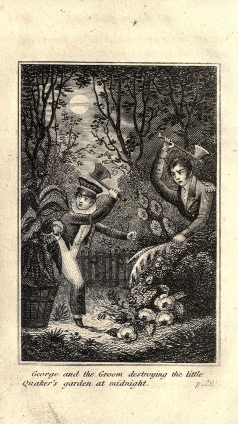 The little Quaker, or, The triumph of virtue : ... Apollo And Hyacinth, Metamorphosis Art, Ovid Metamorphoses, Bird Book, The Four Seasons, Old Master, Print Artist, Bird Design, Antique Prints