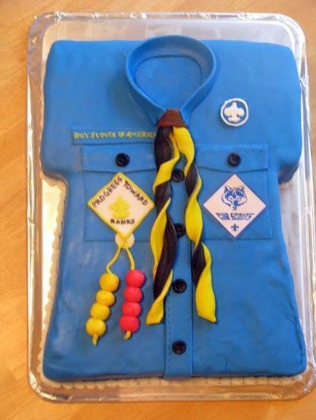 Cub Scout Badges, Arrow Of Light Ceremony, Boy Scout Cake, Cub Scout Cake, Blue And Gold Banquet, Arrow Of Lights, Derby Ideas, Special Event Cakes, Scout Badges