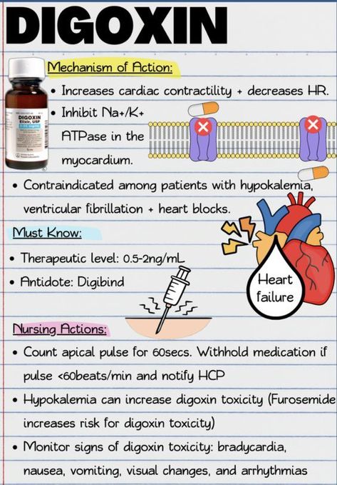 Digoxin #nursingschool #nursingstudent #study  - Image Credits: Jessi L Digoxin Nursing, Cardiovascular Pharmacology, Digoxin Toxicity, Pharmacy School Study, Pharmacology Nursing Study, Nursing School Prep, Nursing School Studying Cheat Sheets, Heart Fail, Nursing School Inspiration