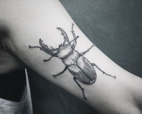 Rhino Beetle Tattoo, Stag Beetle Tattoo, Lucanus Cervus, Small Animal Tattoos, Rhino Beetle, Beetle Tattoo, Bug Tattoo, Simple Tattoo Designs, Stag Beetle