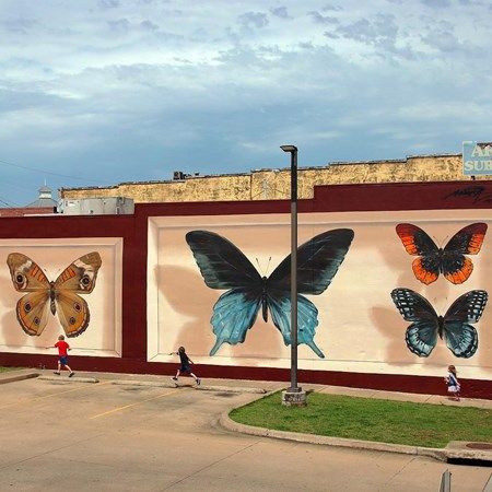 Falling Water Architecture, Basketball Aesthetic, Fort Smith Arkansas, Parterre Garden, Types Of Butterflies, Hot Springs Arkansas, Outdoors Tattoo, Eureka Springs, Fort Smith