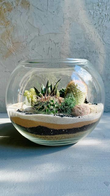 Glass Gardens🇬🇧| Terrarium Art on Instagram: "We not only do Closed Tropical Terrariums, but Open Desert Terrariums with succulents and cacti as well - here is the example!🌵🏜 Stay tuned for info about Desert Terrarium Workshop launching soon✨ #terrarium #terrariums #openterrarium #largeterrarium #terrariumlover #desertterrarium #terrariumsofinstagram #cacti #succulents #indoorgardening #sliceofnature #bringnatureindoors #homedecor #housedecor #plants #glassgarden #plantlover #glassgardenslon Desert Terrarium Ideas, Terrarium Open, Terrarium Bar, Desert Terrarium, Beach Terrarium, Cactus Bowl, Terrarium Art, Terrarium Scene, Reptile Shop