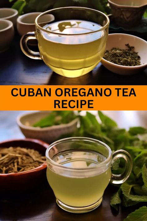 Oregano Tea Recipe, Oregano Tea, Cuban Oregano, Time Of The Day, Tea Recipe, Latest Recipe, Improve Digestion, Natural Sweeteners, Caffeine Free