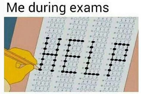 When in doubt choose C? Help Meme, Exam Pictures, Test Meme, Exams Memes, Studying Funny, Studying Memes, Exams Funny, Funny Day Quotes, English Jokes