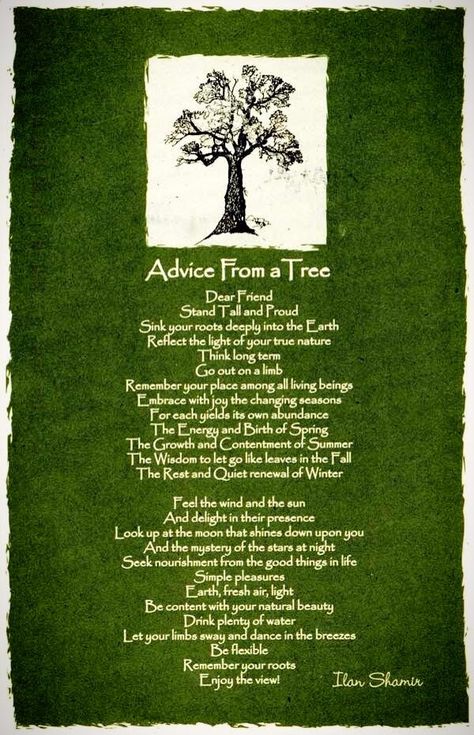 ☆ Advice From a Tree ~:By Ilan Shamir ☆ in memory of a Happy Tree lost in the storm last night 13 Feb 2014.                       This is sooo beautiful! Advice From A Tree, Nature Quotes Trees, Memorial Tattoo Quotes, Tree Poem, Yoga Reading, Tree Quotes, Ali Edwards, Sup Yoga, Yoga Quotes