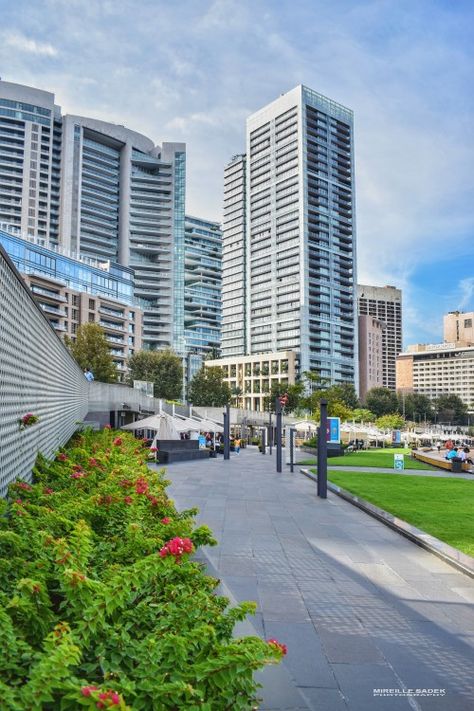 Beirut ❤ 🇱🇧 Beirut Streets, Lebanon Culture, Beirut Lebanon, Beirut, Syria, Lebanon, Middle East, San Francisco Skyline, Skyscraper