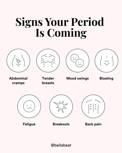 Healthy Period, Low Estrogen Symptoms, Period Kit, Period Humor, Too Much Estrogen, Period Hacks, Period Cramps, Menstrual Health, Menstrual Period