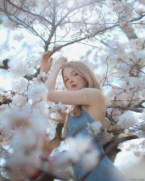 Spring Model Photoshoot, Spring Flowers Photoshoot, Cherry Blossom Shoot, Spring Foto Ideas, Spring Flower Photoshoot, Spring Portrait Photography, Spring Photography Ideas, Cherry Blossom Portrait, Spring Poses