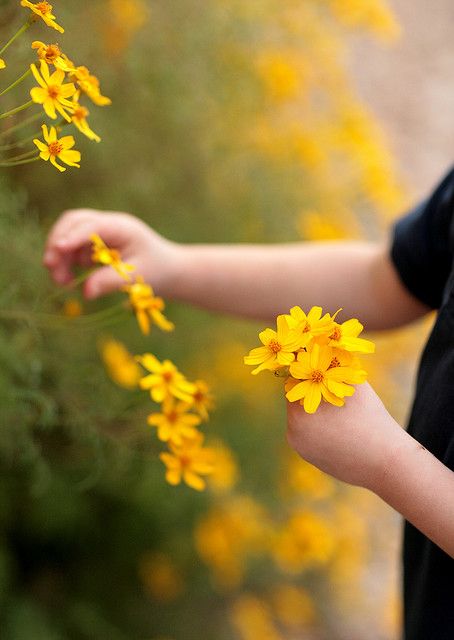 Flowers are so amazing to take pictures of....love capturing the beauty. Quiet Storm, Picking Flowers, Gautama Buddha, Mellow Yellow, Simple Pleasures, Love Flowers, Hippie Style, My Flower, Secret Garden