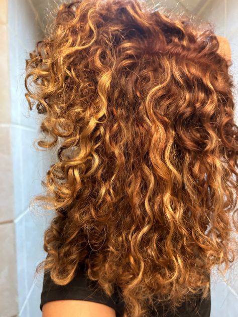 Copper Blonde Hair Curly, Highlights For Gingers, Cowboy Copper Hair On Curly Hair, Curly Hair Strawberry Blonde Highlights, Copper And Blonde Balayage Curly Hair, Copper Curly Hair With Blonde Highlights, Orange Blonde Curly Hair, Red Hair Blonde Highlights Curly, Curly Red Hair Highlights