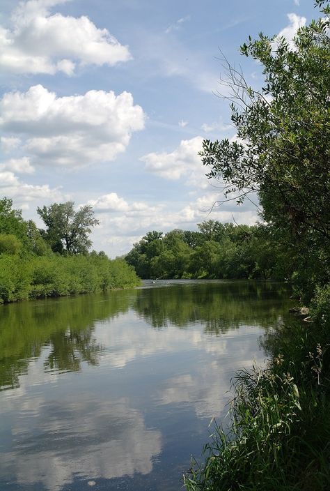 Nature photography - Summer River Lake Reflection, Tai Chi Chuan, Far Side, Just Give Up, Photography Summer, The Chase, The Far Side, Gave Up, Why Do People