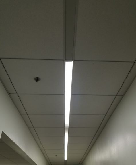 Jonathan Sims, Flourescent Light, Fluorescent Lights, Fluorescent Lighting, Flickering Lights, Fluorescent Lamp, Sprinklers, Tube Light, Office Lighting