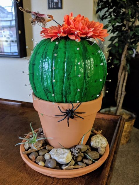 Medical Painted Pumpkins, Money Themed Pumpkin Decorating, Elementary Pumpkin Decorating Contest, Cactus Pumpkin Decorating, Fish Pumpkin Decorating Ideas, Pumpkin Decorating Medical Theme, Western Painted Pumpkin Ideas, Pumpkin Cactus, Pharmacy Pumpkin Decorating