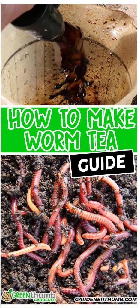 Worm Tea How To Make, Growing Worms, Vermicomposting Worm Farm, Compost Worms, Cricket Farm, Composting Worms, Compost Tea Recipe, Worm Farm Diy, Worm Farms