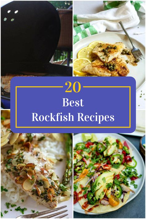 Collage of 4 rockfish recipes. Grilled Rockfish Recipes, Rockfish Recipes Baked, Baked Rockfish Recipes, Rockfish Recipes, Rock Fish, Alpha Gal, Fish Dinner Recipes, Tuna Fish, Fish Fish