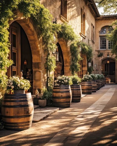 Mediterranean Vineyard, Vineyard Mansion, Daphne Vincent, French Winery, Wineries Architecture, Spanish Mediterranean Homes, Private Idaho, Italian Vineyard, Vineyard House