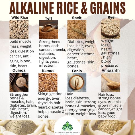 CONTINUE READING HERE and GET YOUR FREE copy of Dr. Sebi's Alkaline Diet: Transitioning from the Standard American Diet here👇👇👇 http://alkalineveganliving.com/ (LINK IN BIO) FOLLOW US FOR MORE #naturalhealing #alkalinediet #alkalinevegan #drsebi #veganism #vegansofig #veganinfo #vegano #veganfit #veganpower #veganshare #vegancommunity #healingplants #vegancommunity #alkalinelifestyle #alkalineherbs #vegannutrition #goingvegan #plantbasedcoach #healthierlife #healthieroptions #organicfoods Dr Sebi Diet Plan, Alkaline Drinks Mornings, Dr Sebi Food List Alkaline Diet, High Alkaline Diet Recipes, Alkaline Herbs For Healing, Alkaline Diet Meals, Dr Sebi Alkaline Food List, Alkaline Vegan Recipes Dr Sebi, Alkaline Grocery List