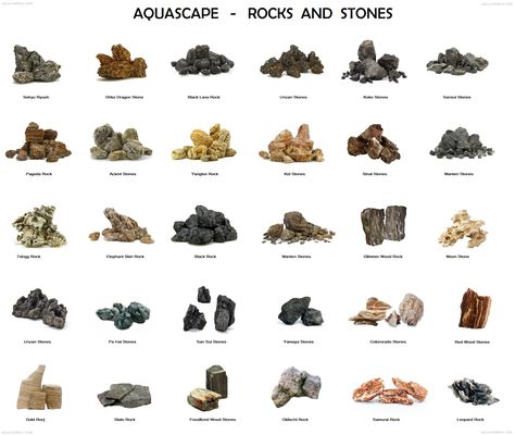 Rock Scape Aquarium, Aquascape Design Rocks, Rock Aquascape, Aquascape Diy, Cool Fish Tank Decorations, Fish Aquarium Decorations, Fish Tank Themes, Aquarium Garden, Aquarium Rocks