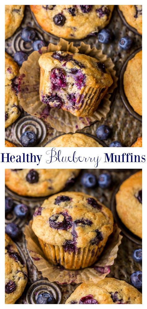 Healthy Greek Yogurt and Honey Blueberry Muffins - Baker by Nature Honey Blueberry Muffins, Greek Yogurt And Honey, Blueberry Muffin Recipe Healthy, Blueberry Yogurt Muffins, Healthy Blueberry Muffins, Baker By Nature, Healthy Greek Yogurt, Healthy Blueberry, Blueberry Muffin