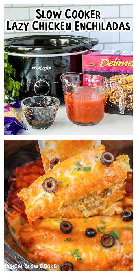 Enchiladas In Crockpot, Lazy Enchiladas, Frozen Taquitos, Enchiladas Crockpot, Frozen Enchiladas, Crockpot Chicken Enchiladas, Magical Slow Cooker, Slow Cooker Enchiladas, Pot Food